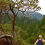 Hiker contemplating the view... or possibly the lunch in his backpack.